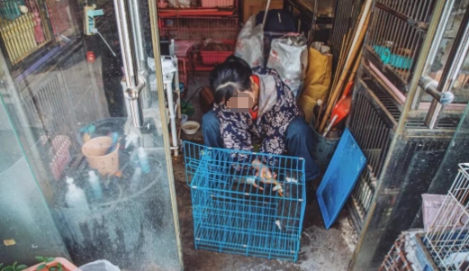 狗铺子老板娘村口铺子老板娘