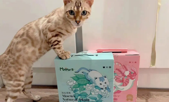 慕喜猫砂香味浓吗 慕喜猫砂香味浓吗