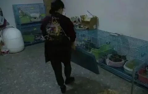 上海一女子在小区的车库内养10只病猫！扬言：我有车库的产权！他人无权管…