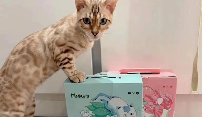 慕喜猫砂怎么样 慕喜猫砂怎么样