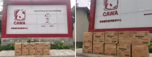 暖冬守护计划|关爱流浪毛孩子, 佳乐滋正行动! 暖冬守护计划|关爱流浪毛孩子, 佳乐滋正行动!