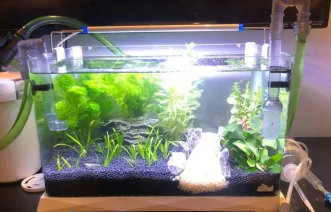 蓝甸鱼缸滤袋 蓝甸鱼缸滤袋