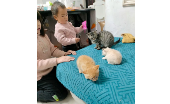 过年离开家五天,回来后竟多了窝奶猫,一只还给猫妈,两只… 过年离开家五天,回来后竟多了窝奶猫,一只还给猫妈,两只…