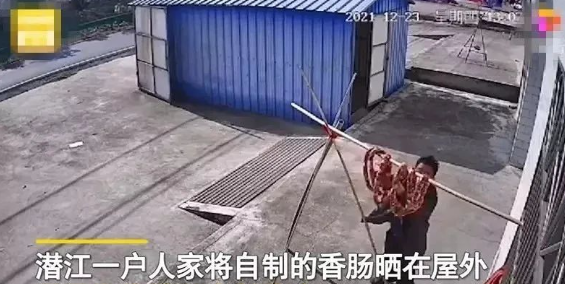 湖北一男子白天上门偷香肠,还被杆子砸到头,户主:误以为狗吃了 湖北一男子白天上门偷香肠,还被杆子砸到头,户主:误以为狗吃了