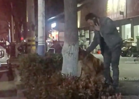 大哥打电话时,将拴在树上的狗从头到脚撸个遍! 大哥打电话时,将拴在树上的狗从头到脚撸个遍!