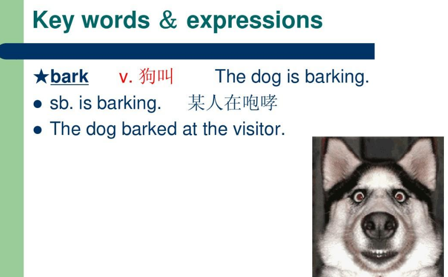 狗叫用英语怎么说 狗叫用英语怎么说