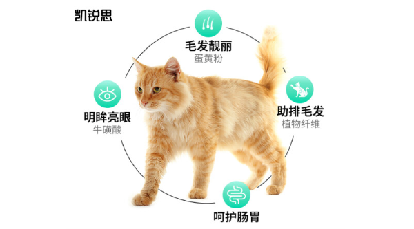 凯锐思猫粮：安全且营养丰富的选择