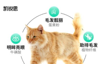 凯锐思猫粮到底能不能吃？凯锐思猫粮安全吗