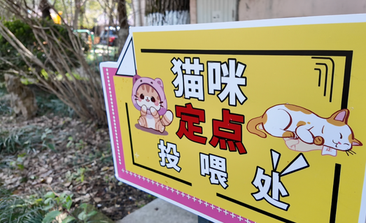 小区流浪猫有点多!看整改成效如何?记者回访 小区流浪猫有点多!看整改成效如何?记者回访