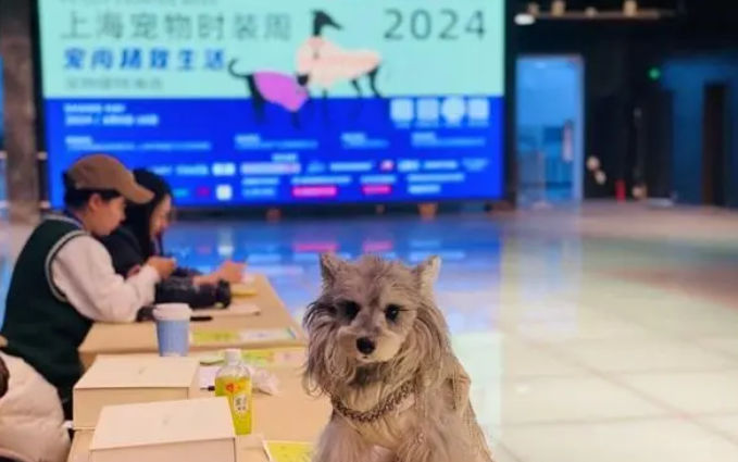 上海“宠爱嘉年华”3月下旬举行,宠物也有自己的时尚style