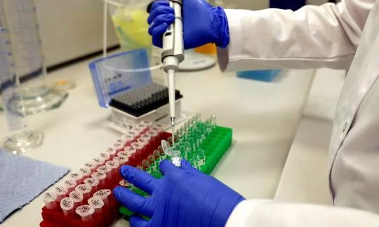 捷克公司Bene Meat Technologies正准备在未来两年内将细胞培育的碎牛肉投放到捷克宠物食品市场，等待欧盟的批准