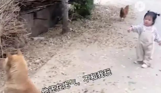 广西贵港:萌娃和狗子“闹掰”,背对背互不搭理,结果又去玩鸡 广西贵港:萌娃和狗子“闹掰”,背对背互不搭理,结果又去玩鸡
