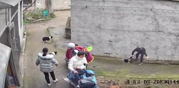 边牧掉进粪坑里,将它拉出来后甩了主人一身,隔着屏幕就闻到味了 边牧掉进粪坑里,将它拉出来后甩了主人一身,隔着屏幕就闻到味了