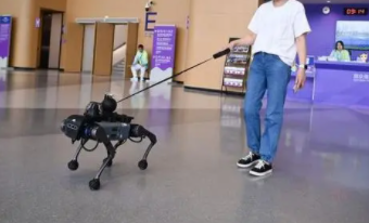 电子导盲犬的优点缺点