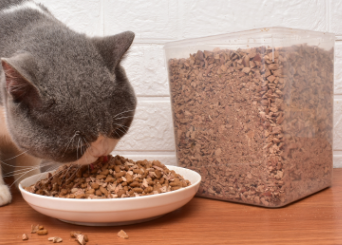 养只宠物猫粮好吃吗 养只宠物猫粮好吃吗