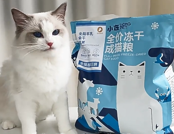小冻猫粮好吃吗 小冻猫粮好吃吗