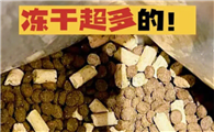 奇仔猫粮好不好
