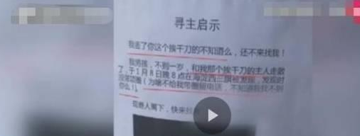 宠物狗走丢变成流浪狗，满世界找主人，路人坐等两小时后做了决定