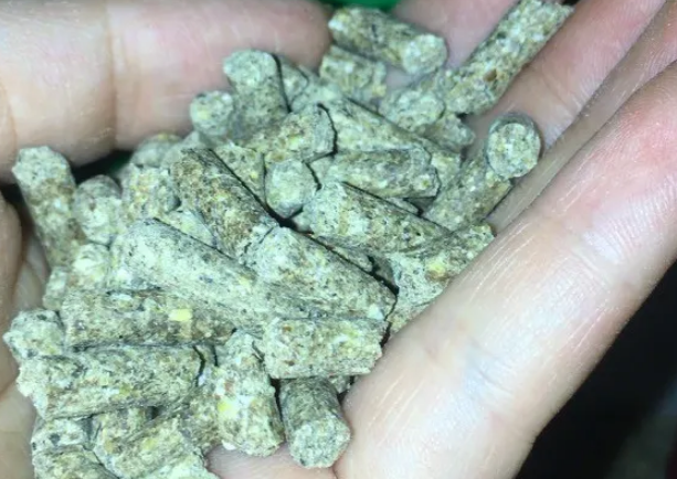 家兔饲料霉菌中毒怎么解? 家兔饲料霉菌中毒怎么解?