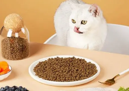 咪猫说猫粮怎么样