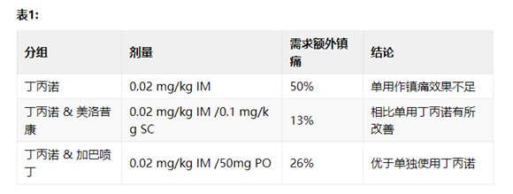 在猫中应用加巴喷丁 —— 确保正确剂量 在猫中应用加巴喷丁 —— 确保正确剂量