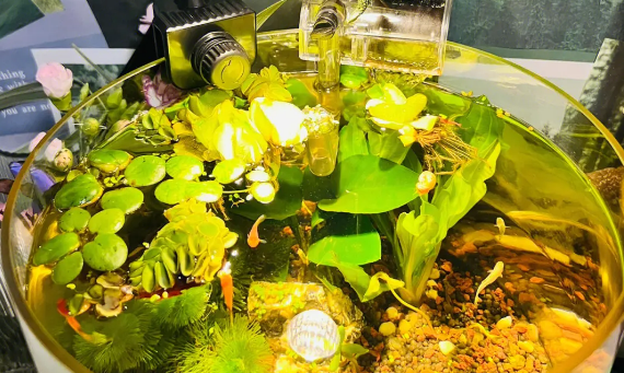 蓝甸鱼缸和韵海鱼缸比较