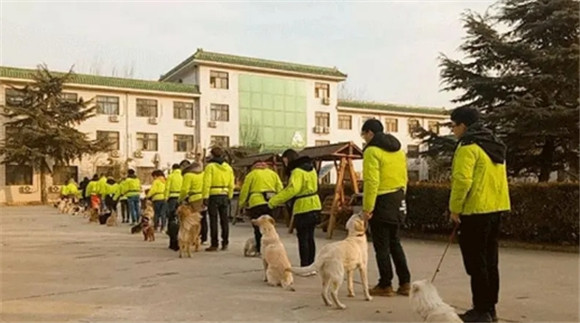 想学训犬师哪里可以