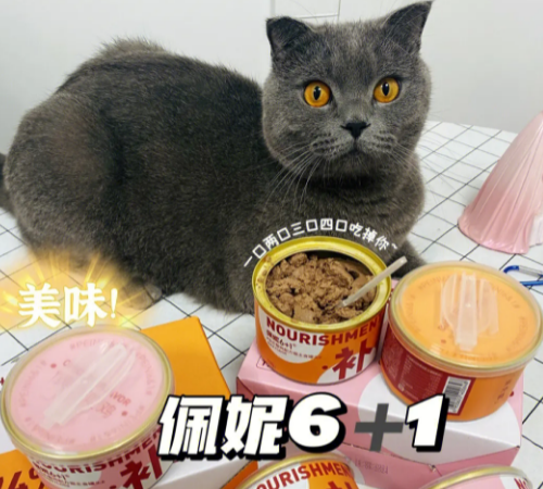 佩妮6+1猫罐头怎么样