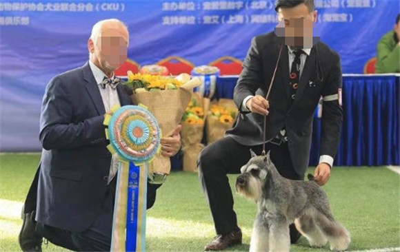 牵犬师资格证怎么考 牵犬师资格证怎么考
