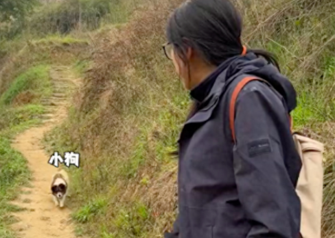 女生打野喂了只小狗，临走时它依依不舍送了很远一段路