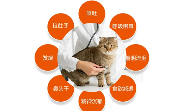 fpv猫瘟准吗 fpv猫瘟准吗