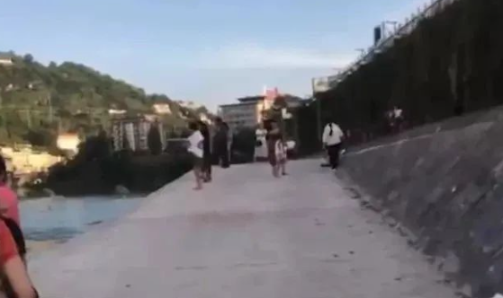 悲剧!湖北一男子为救宠物狗不慎溺水,狗狗水中苦寻失踪一天主人 悲剧!湖北一男子为救宠物狗不慎溺水,狗狗水中苦寻失踪一天主人