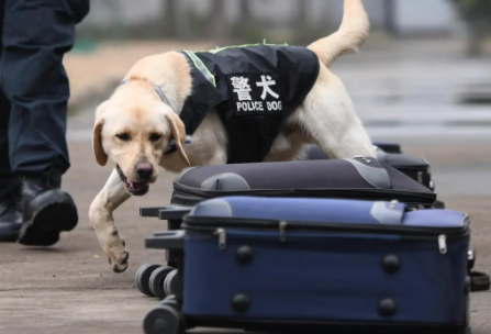 警犬有工资吗?