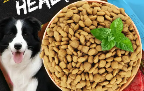 佰食鲜能狗粮什么档次 佰食鲜能狗粮什么档次