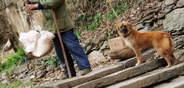 农村老人爱说老话的意思 农村老人爱说老话的意思