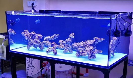 海魔方和蓝甸海水缸哪个好