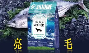 昂太狗粮是品牌吗 昂太狗粮是品牌吗