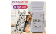 猫咪消炎药哪个好用