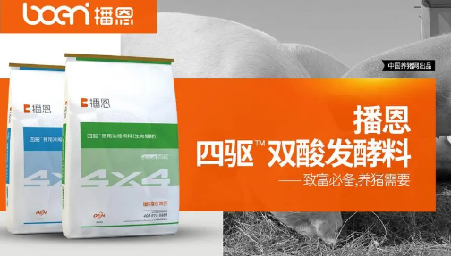 播恩集团有多少分厂