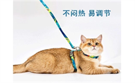 猫绳子怎么戴