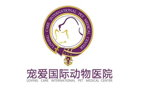 宠爱国际