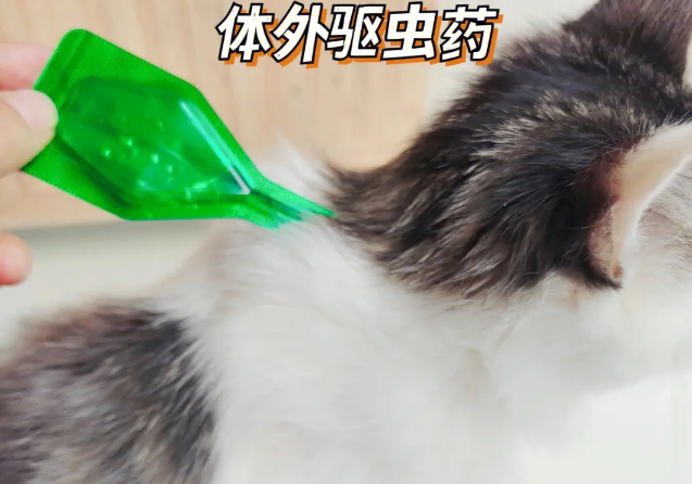 猫咪几个月可以驱虫