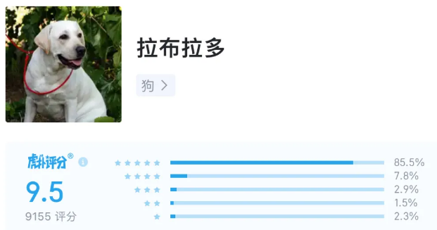 不同品种狗狗评分，以满分排名第一的它实至名归