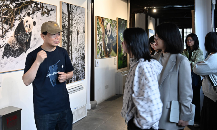 周孟棋摄影艺术展《不止黑白》：推动大熊猫文化与保护意识的全球传递