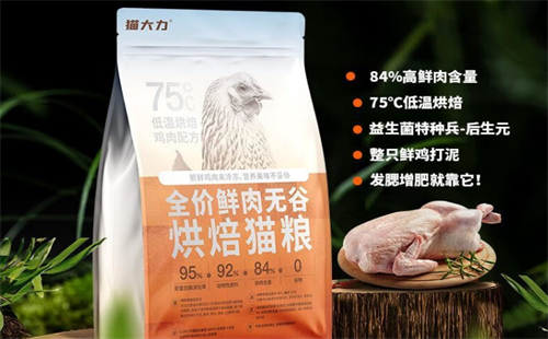 猫大力