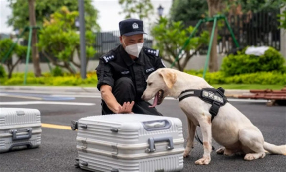 缉毒犬厉害吗 缉毒犬厉害吗