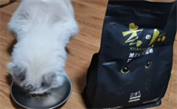 猫粮反馈——流水的其他粮，铁打的玄小黑