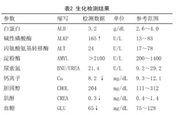 犬猫胰腺炎的诊断及治疗方法