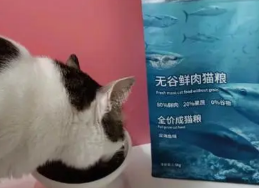 七种鱼猫粮属于什么粮 七种鱼猫粮属于什么粮