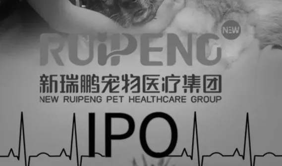 柏文喜:冲刺IPO,高速发展的宠物连锁医疗机构新瑞鹏遭遇宠物高压氧舱伤人事故 柏文喜:冲刺IPO,高速发展的宠物连锁医疗机构新瑞鹏遭遇宠物高压氧舱伤人事故